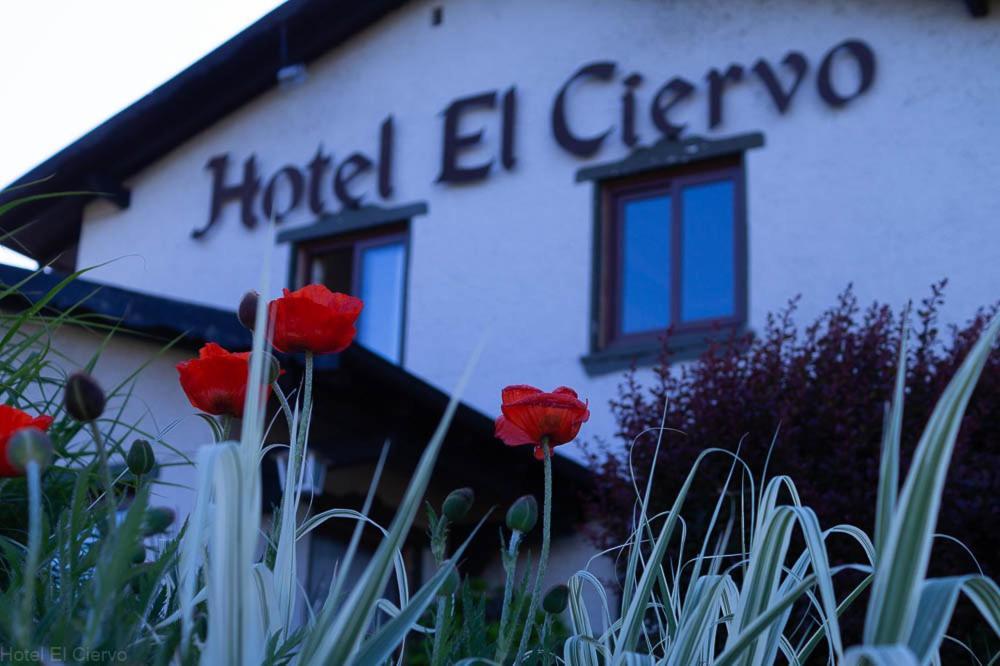 Hotel El Ciervo Villarrica Bagian luar foto