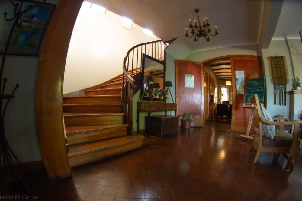 Hotel El Ciervo Villarrica Bagian luar foto