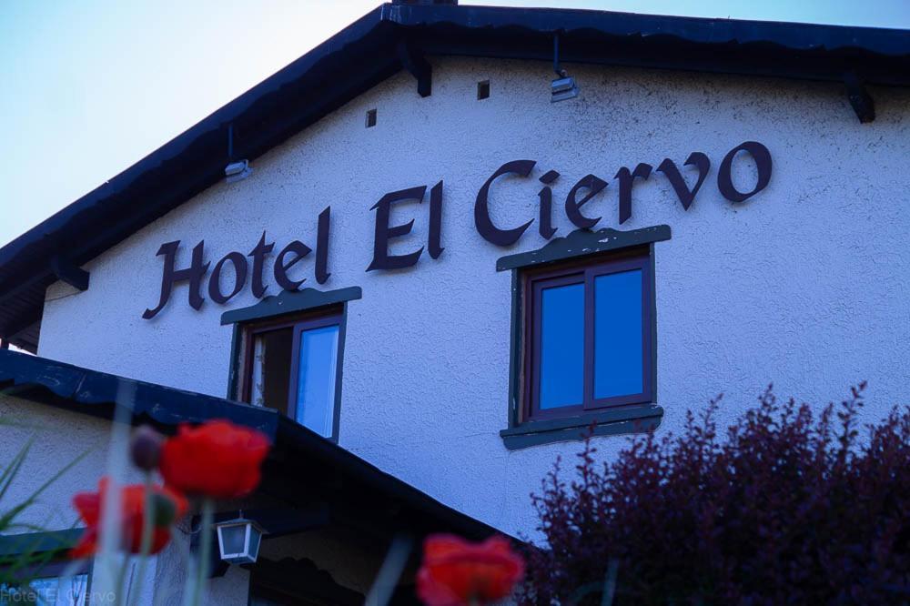 Hotel El Ciervo Villarrica Bagian luar foto