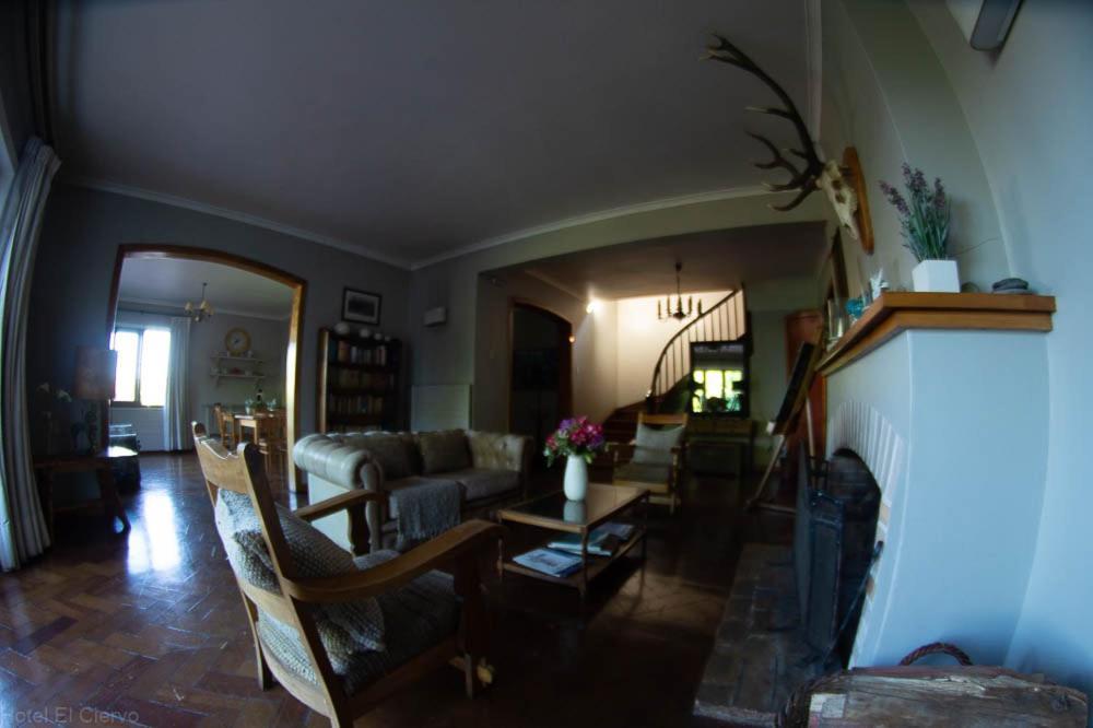 Hotel El Ciervo Villarrica Bagian luar foto