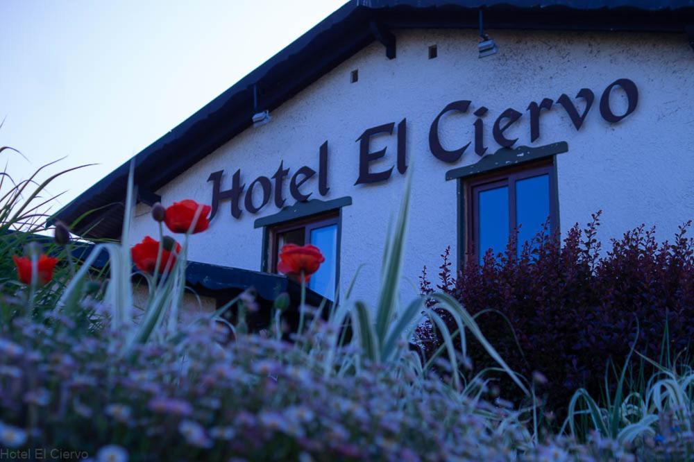 Hotel El Ciervo Villarrica Bagian luar foto