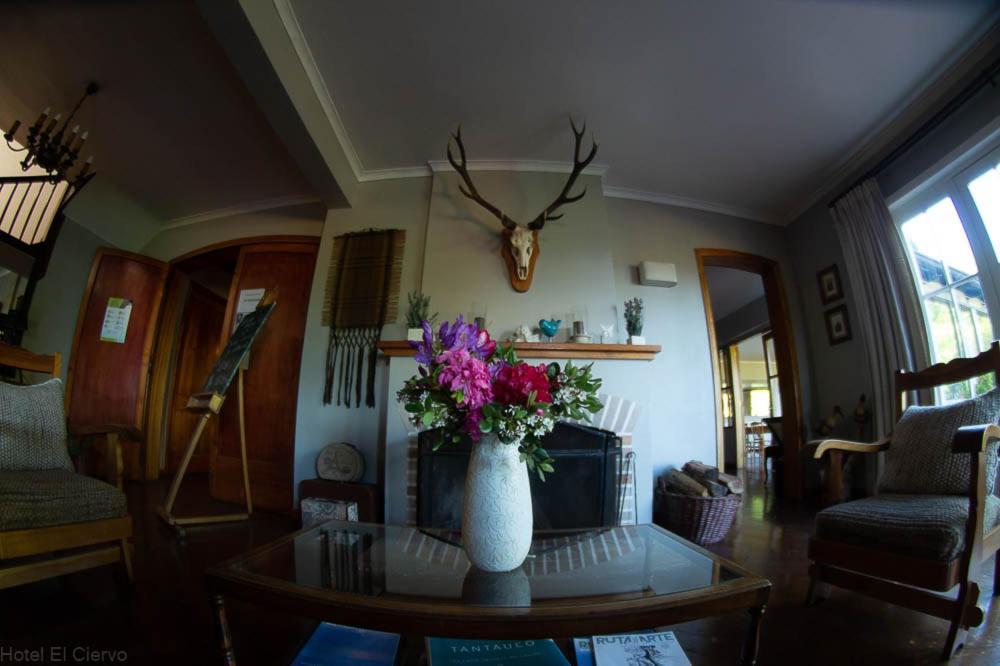 Hotel El Ciervo Villarrica Bagian luar foto
